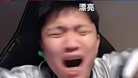 大半夜来这一下谁能不笑 #DANK1NG #CS2 #NiKo