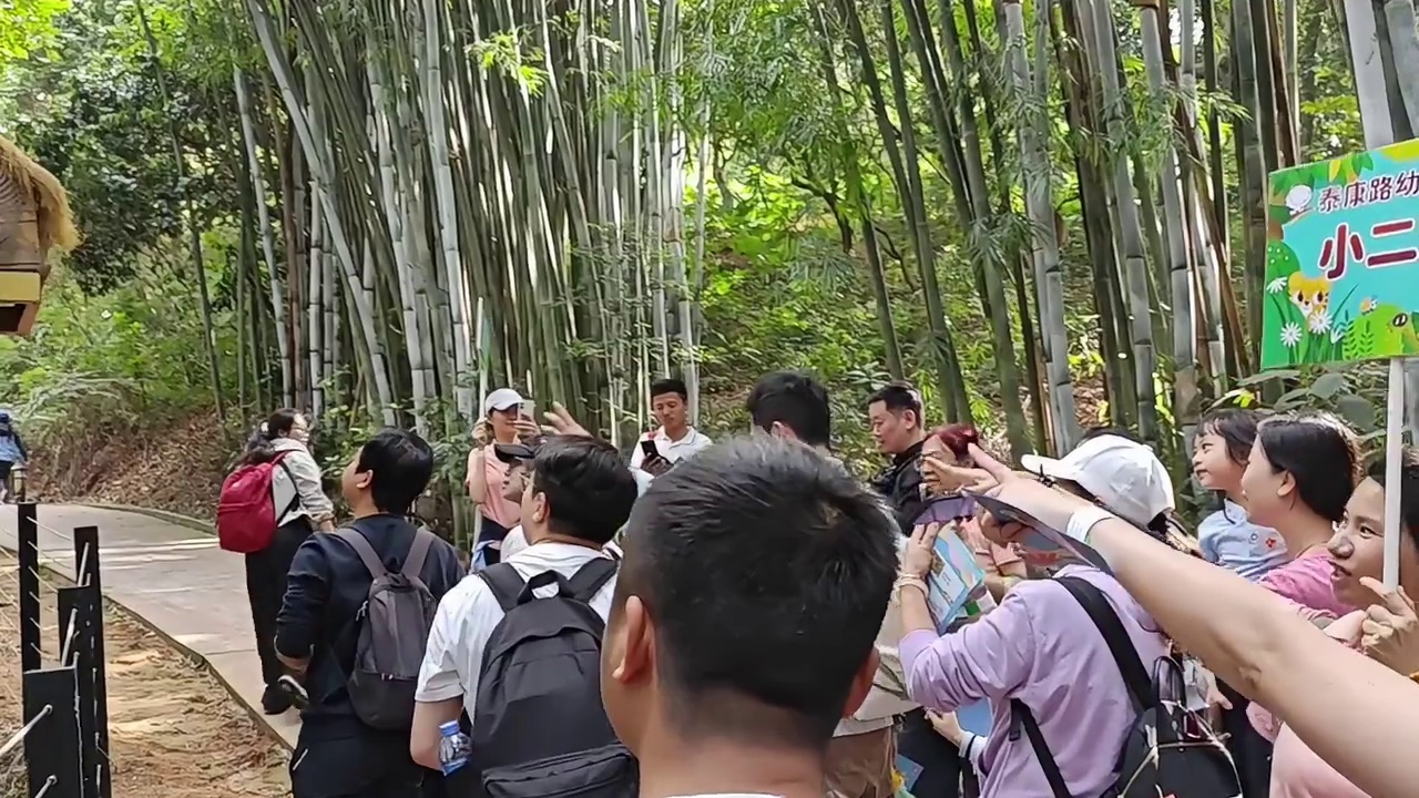 一键开启徒步之旅解锁七彩澳游林间宝藏!一路上和松鼠️打招呼，还能偶遇山羊和小白兔!穿梭林间直达袋鼠