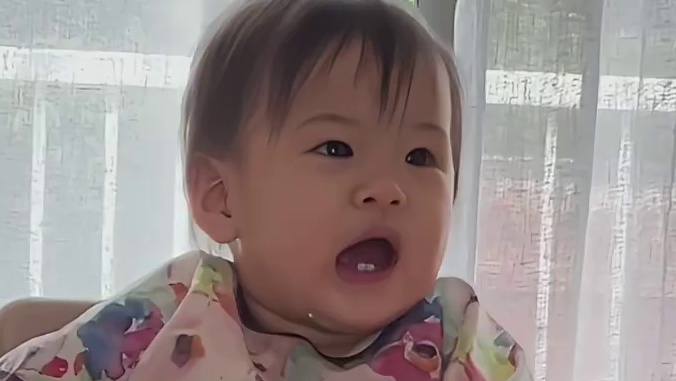 狗：一天尽不让狗省心的