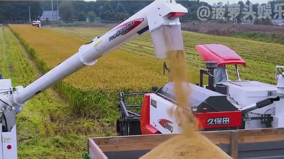 因为几个人毁了一座城