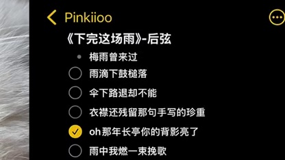 由我的小猫演唱～