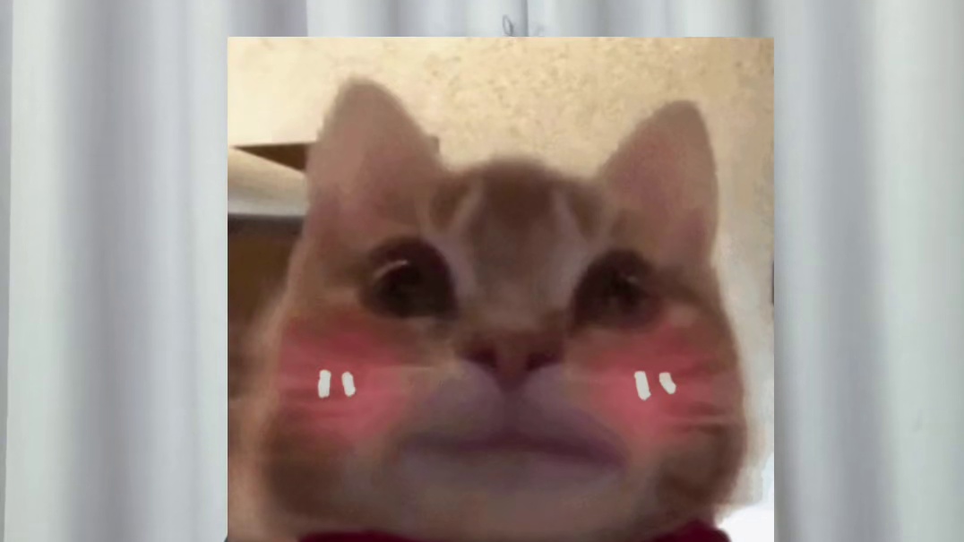 保证书 保证以后再也不会迟到了