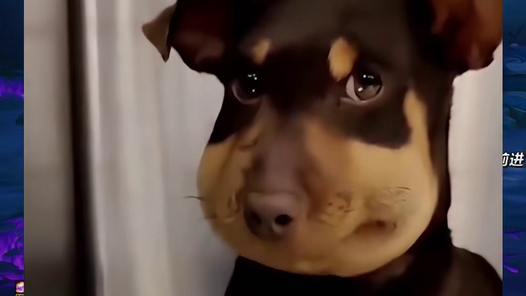 DNF12.11自用手残流刃影技能加点，大力飞砖一轮高爆发！ #dnf #地下城与勇士 #DNFU 