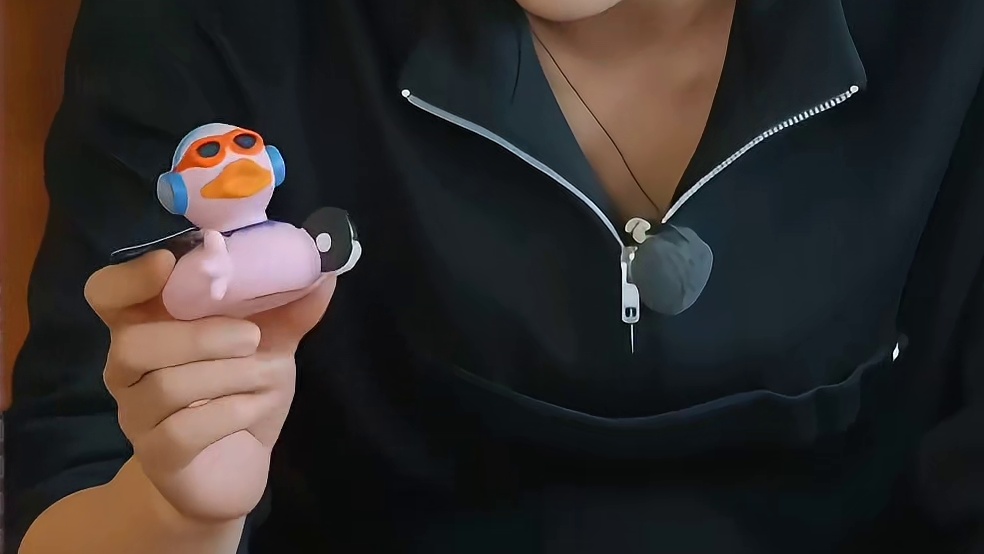 胡先煦给每个明星买了鸭子，你觉得哪个最像原主呢？