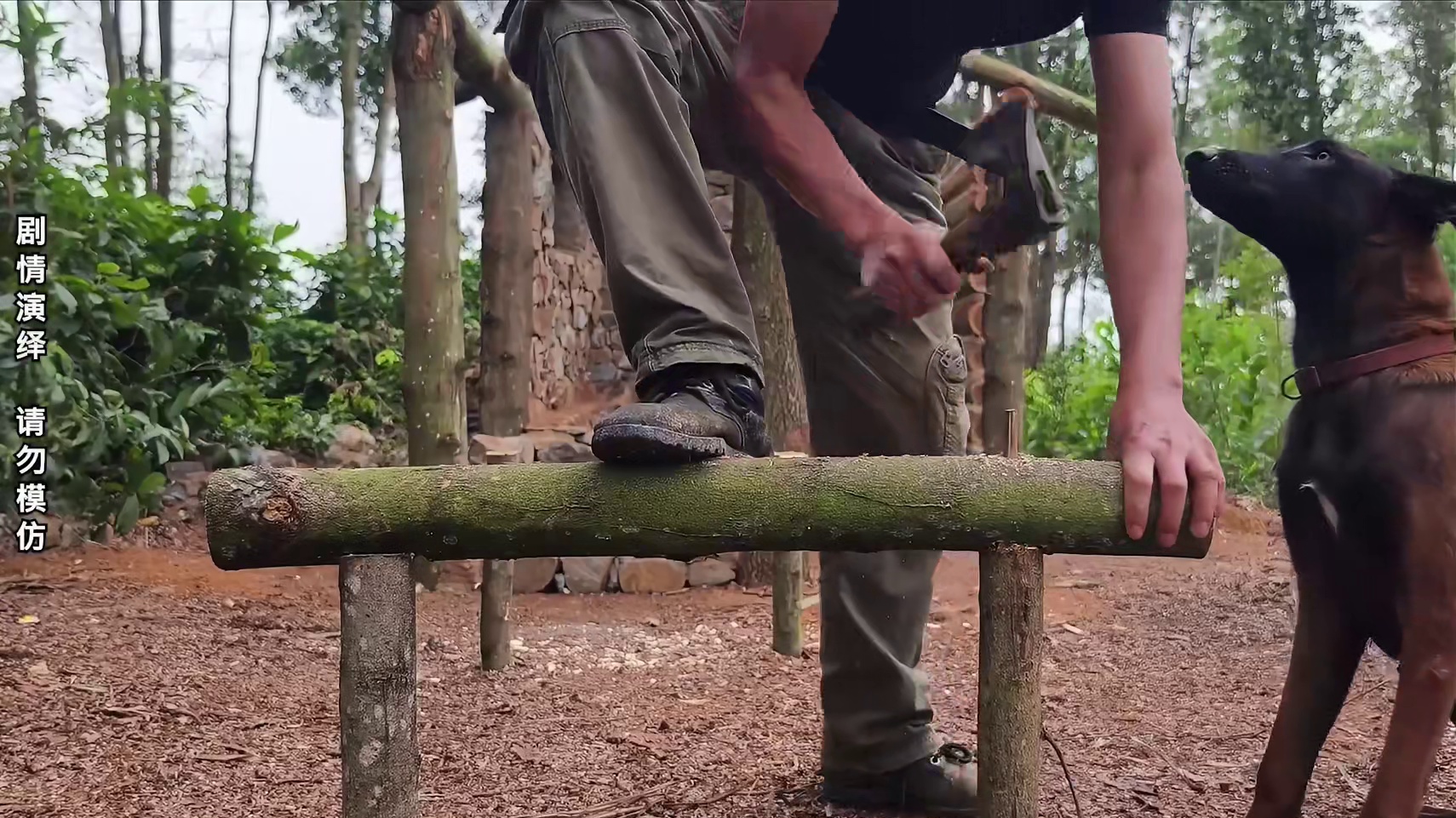 复合结构野外住所，生活设施应有尽有太解压 #野外建造 #野外生活 #荒野搭建 #放心借 #放心借福利