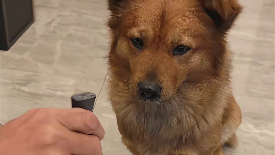 好家伙，你这逆子竟让老爹难堪！