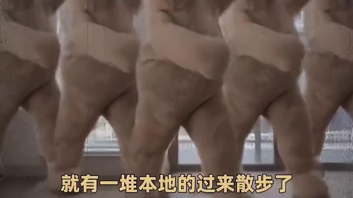 评论区才是真正的旅游攻略啊