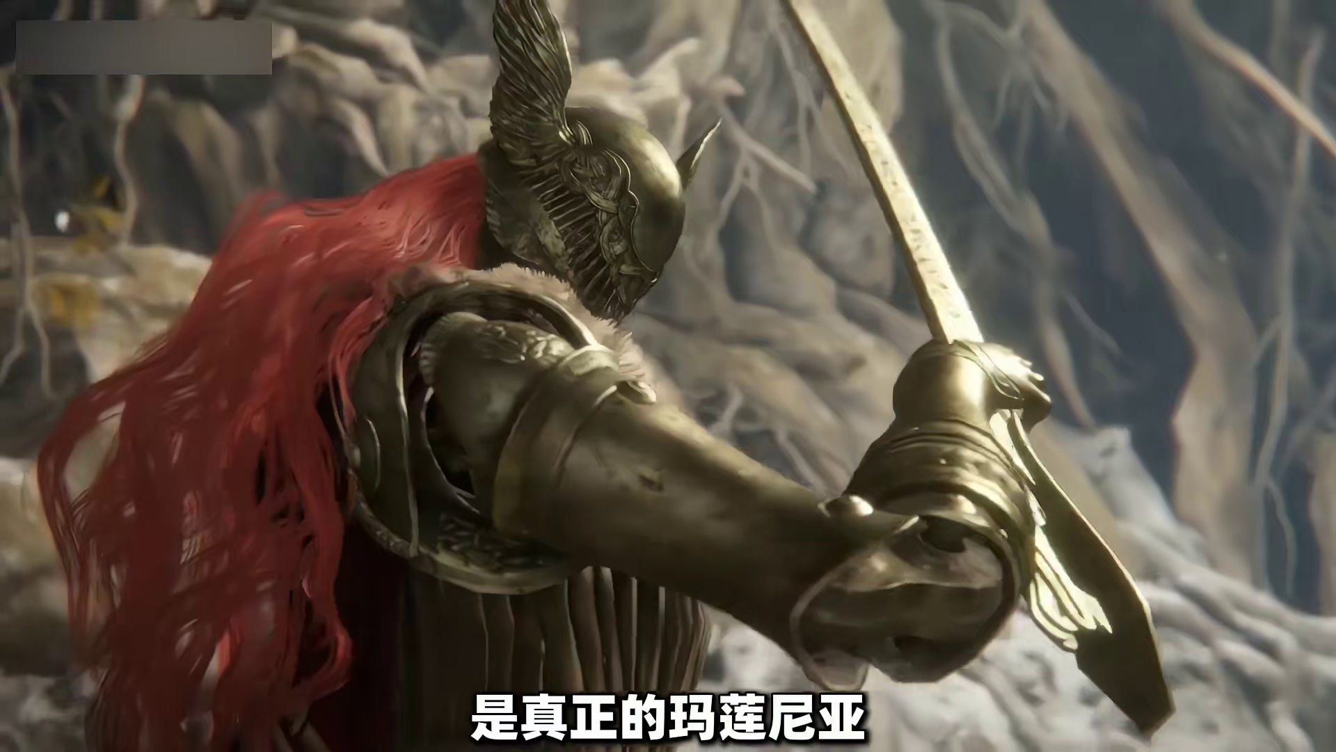 一打八百四十万个艾尔登之王？bro以为自己是玛莲尼亚