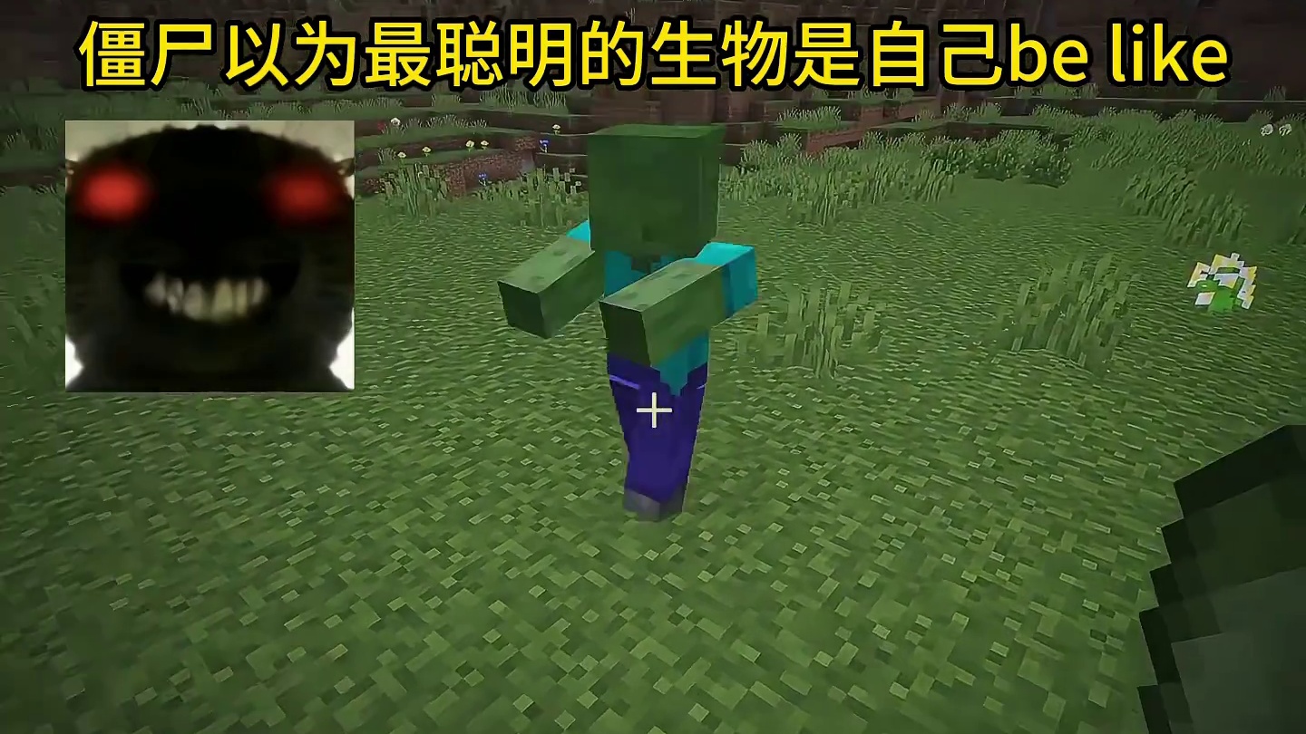 我的世界：僵尸以为最聪明的生物是自己be like