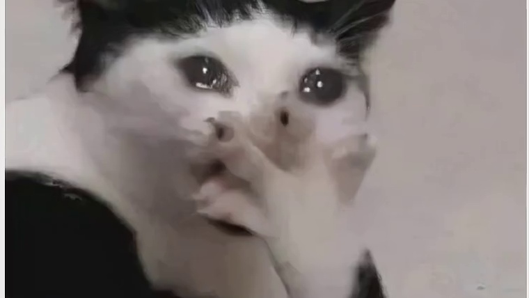 你只要略施小计，就能看到小狗超多的爱。