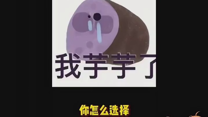 纳新：同学加一个，面试：给我一个录取你的理由