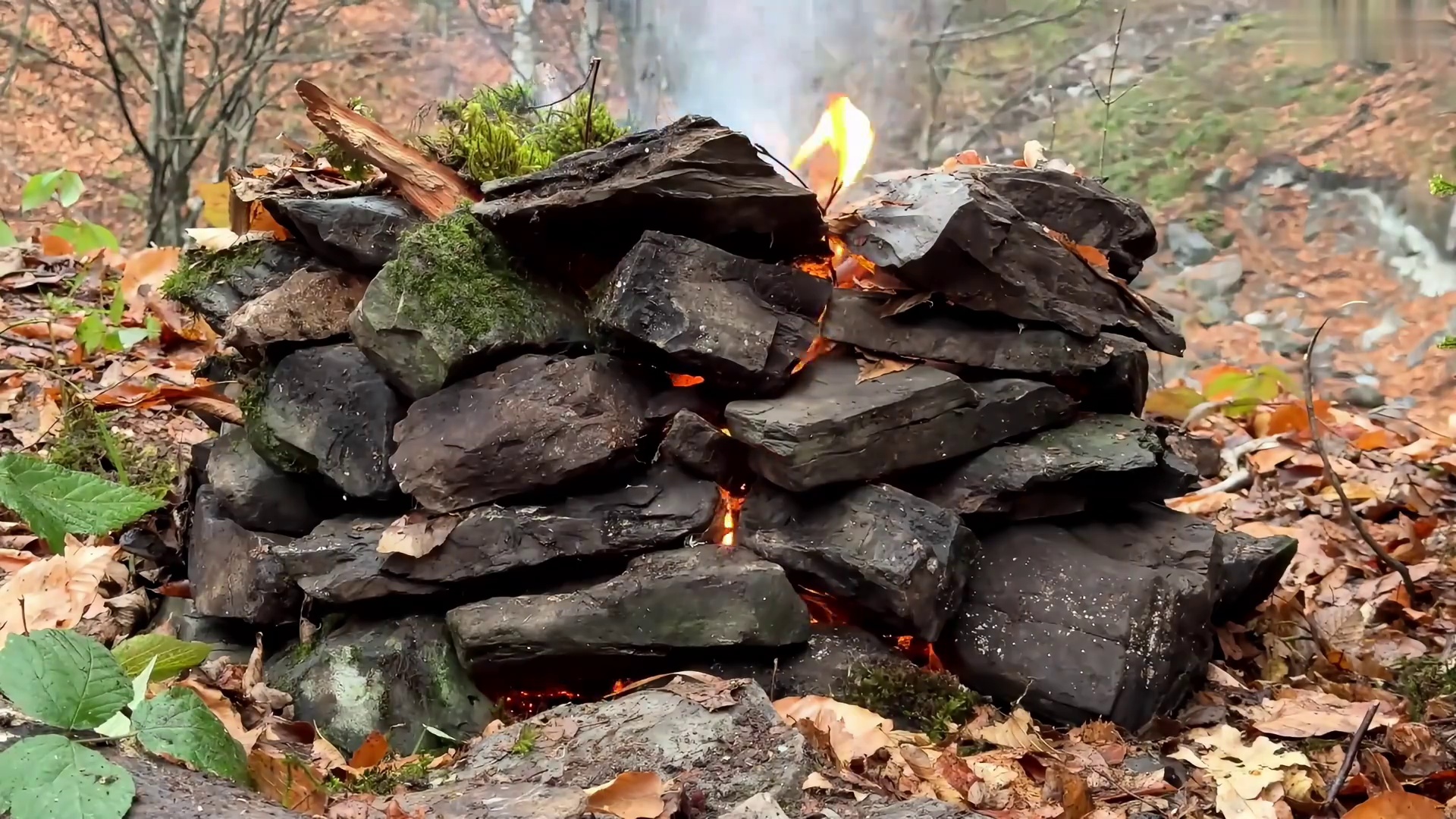 荒野建造 在林子里用圆木桩搭建庇护所，半沉浸式 (3)