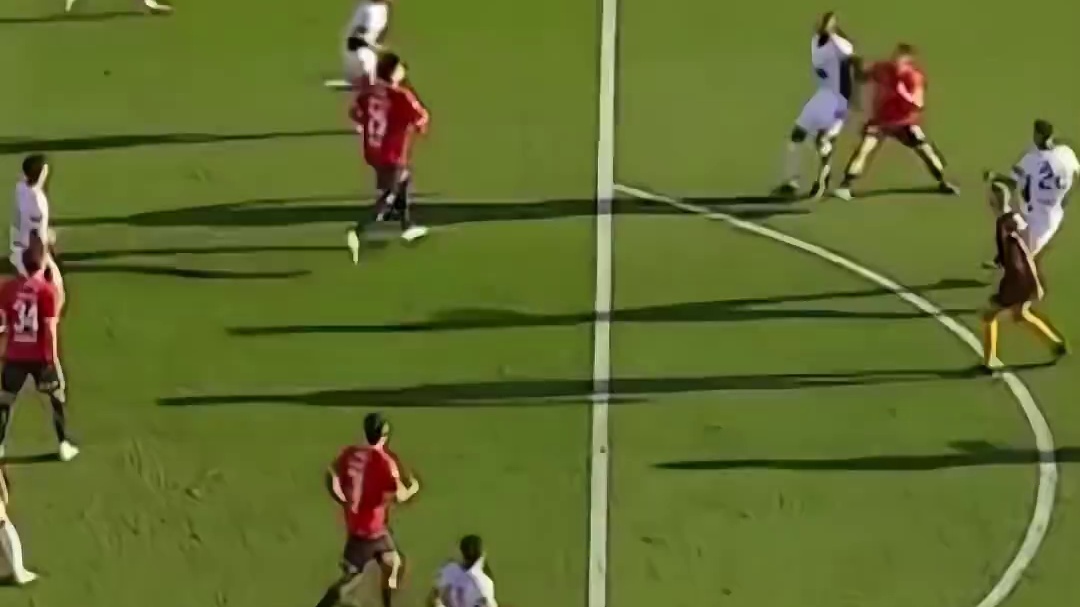 一同守护全世界最好的小动物们