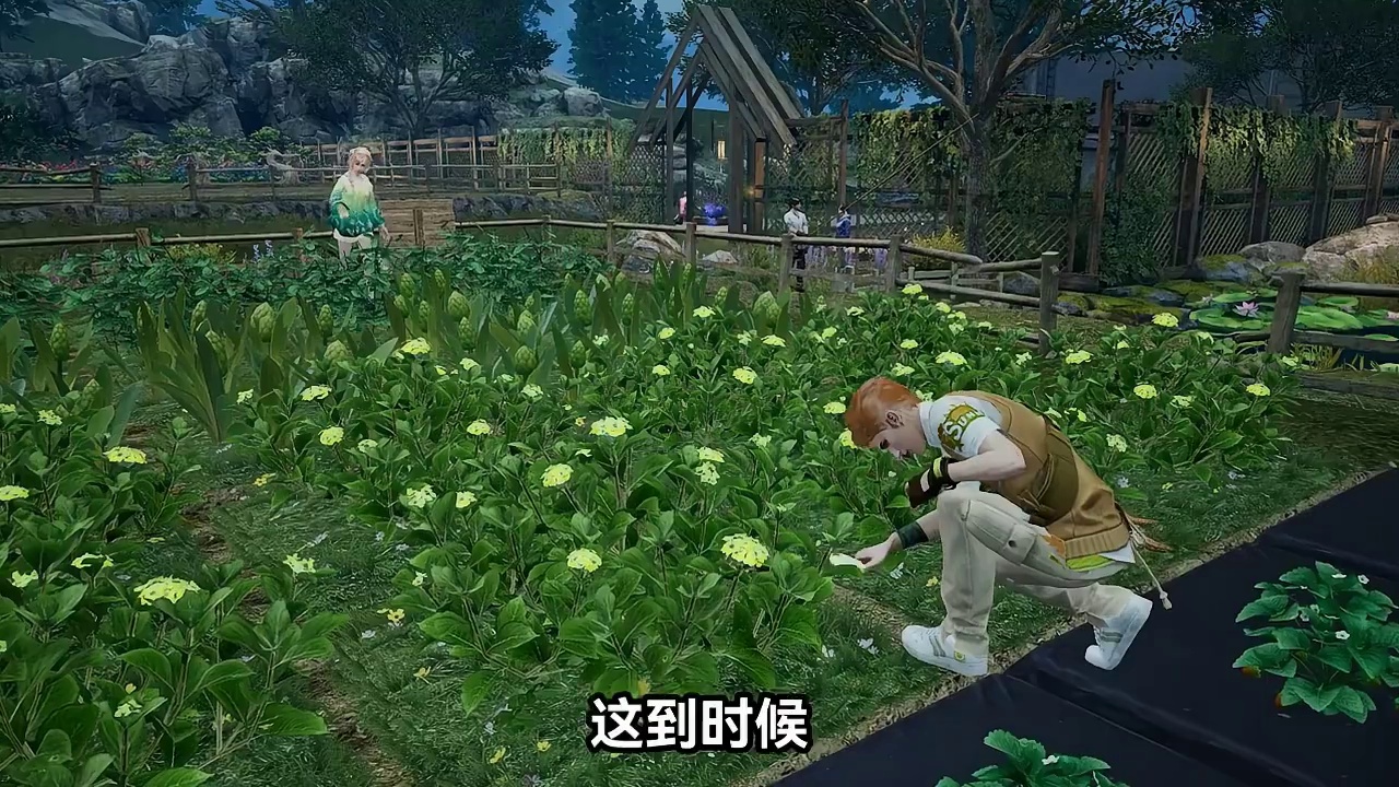 策划是会玩的，边境农场变成东北大集了…