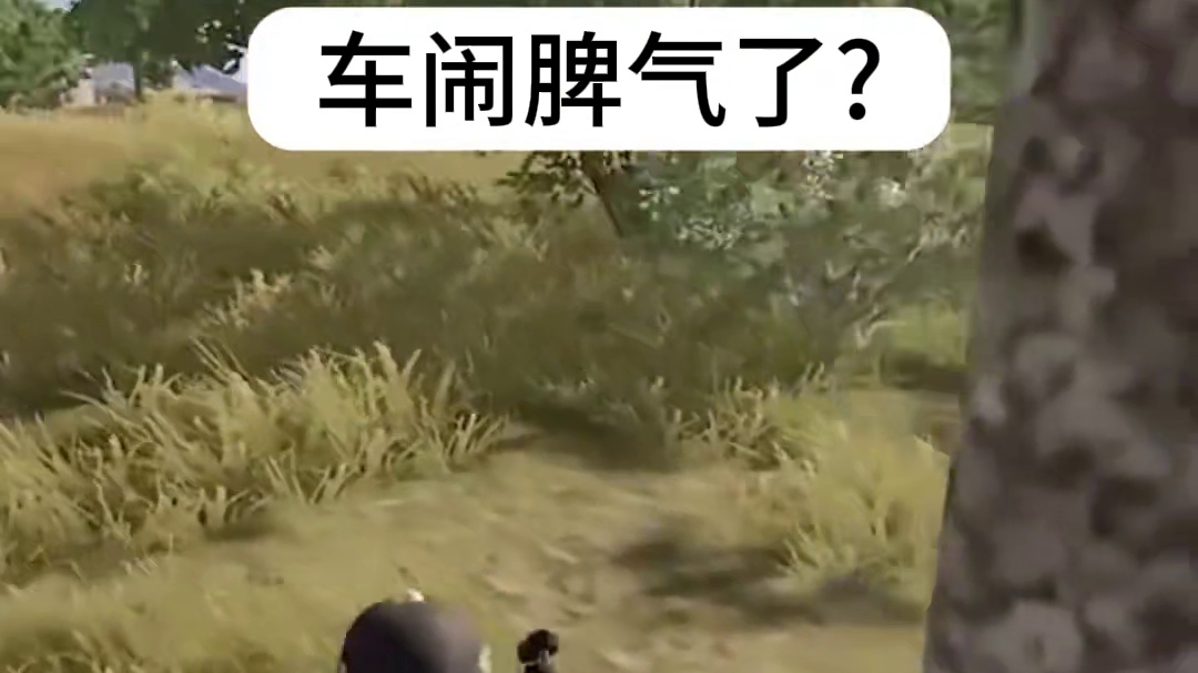 小车车生脾气了？