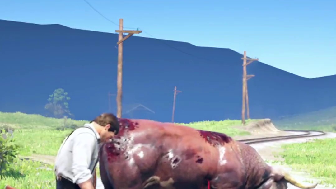 老黄牛受伤严重，倒下了