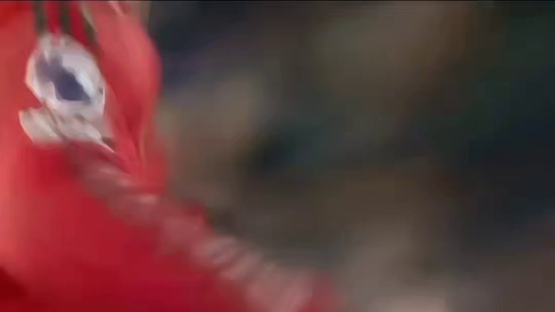 B费：我的任意球，从来都是指哪打哪！#足球