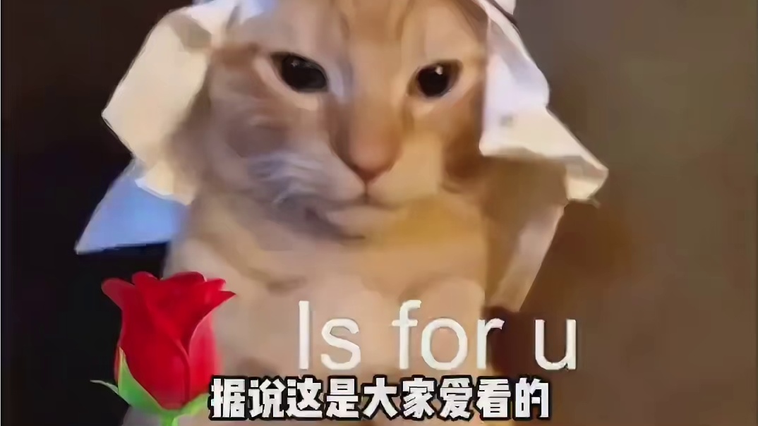 快叫女朋友学学这个