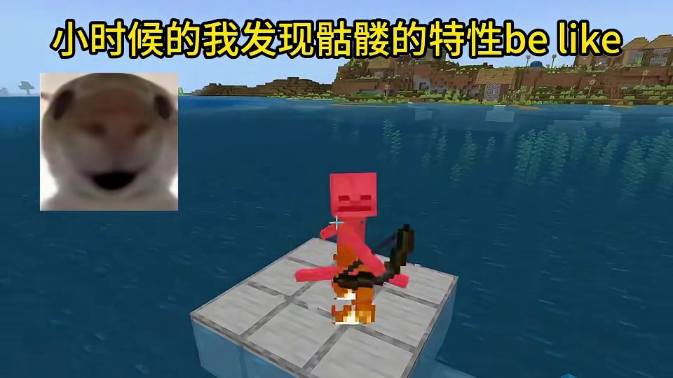 我的世界：小时候的我发现骷髅的特性be like