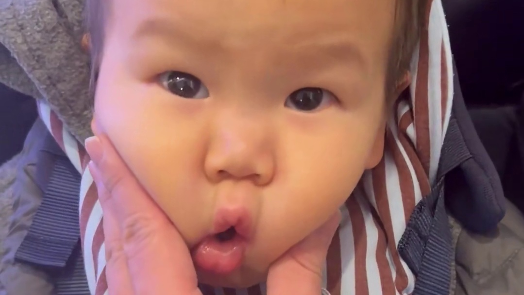 祝大家冬至快乐！没比赛带小QUQU出门透透气记得吃饺子哟