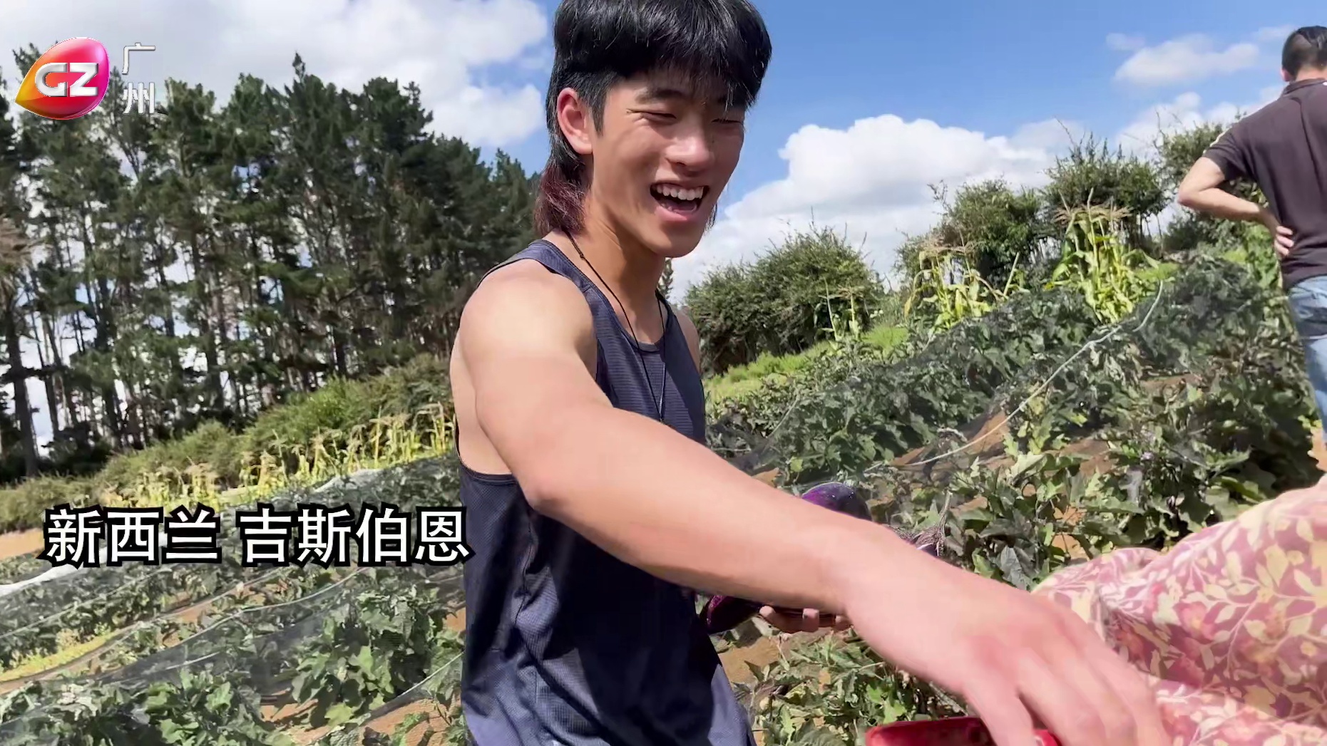 从大湾区出发 第四集 农业