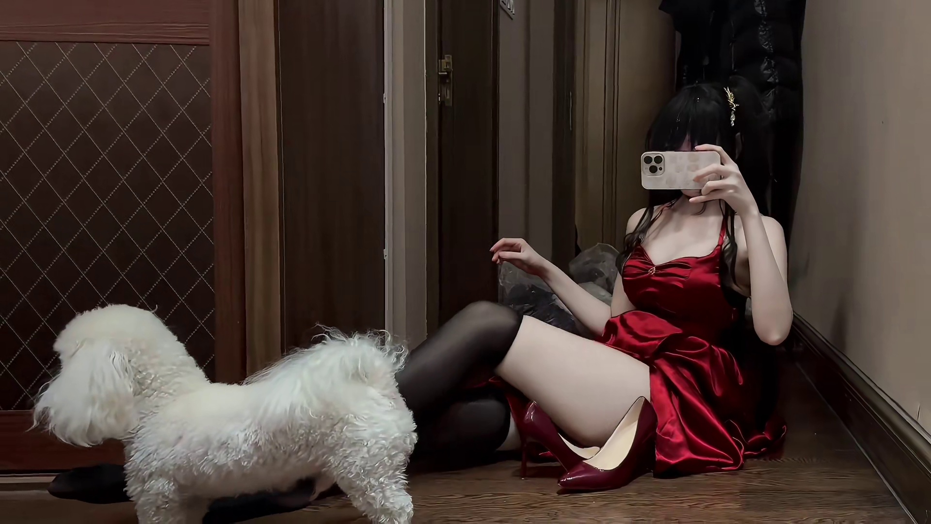 这套拍圣诞正片真的很合适诶！ 来福表示满意！