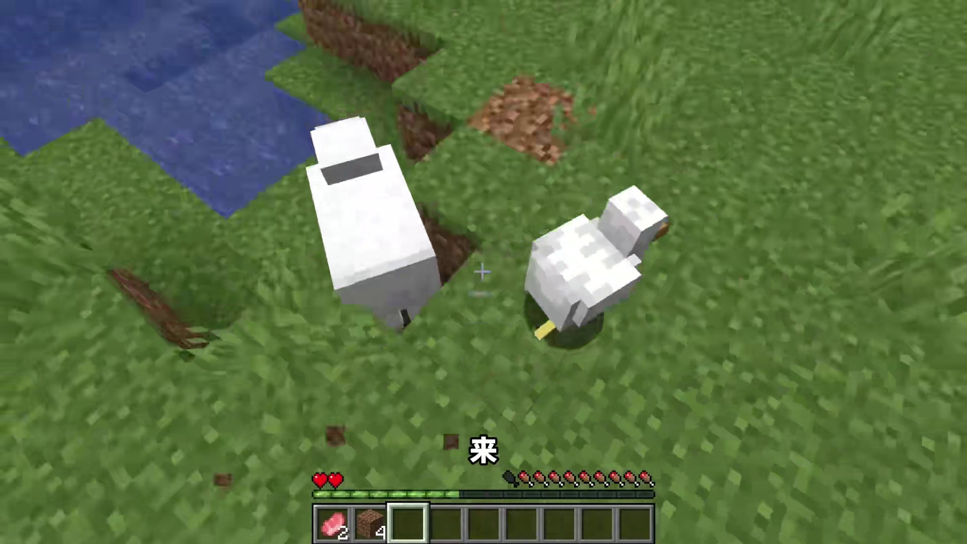 吃下食物！血量翻倍！可以达到1亿吗？！我的世界