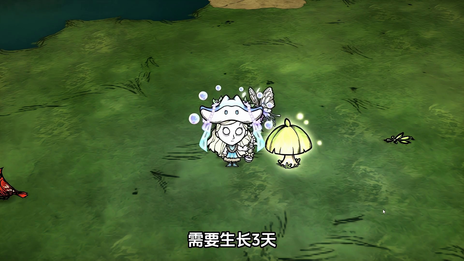 饥荒联机版：万物书第二期更新内容超级可爱猫猫