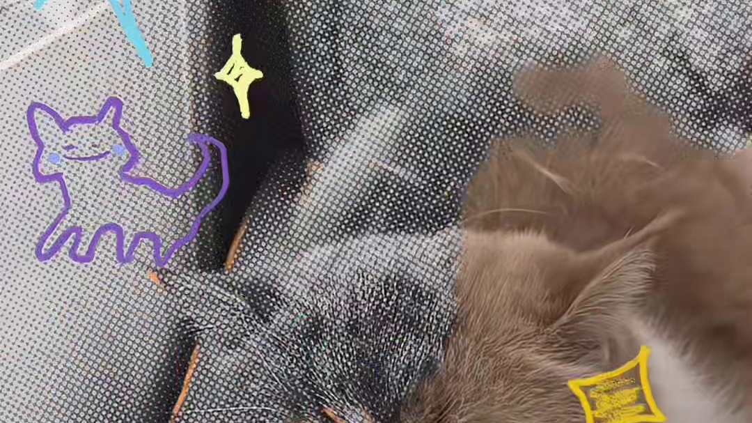 龙家军圣诞快乐！