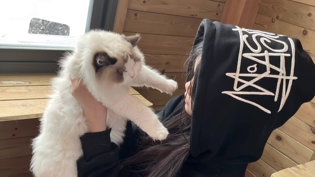 希望你阳光明媚 不为任何事掉眼泪.