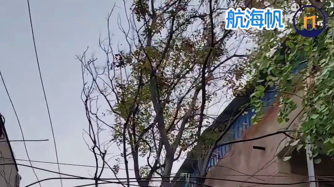 滥权｜监听监视与构陷-航海帆#伺机迫害#滥权与迫害#系统性腐败与犯罪#腐败主义与狗子文化#天地人网