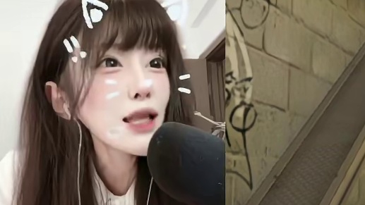 人不犯我 我不犯人 人若犯我 斩草除根