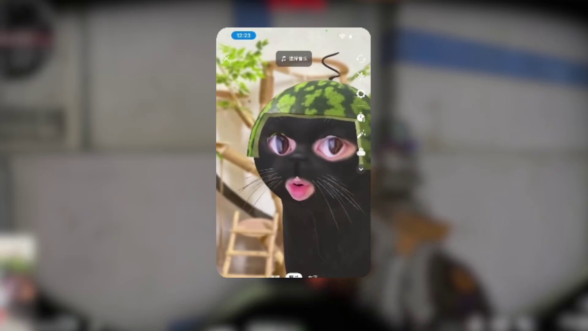 哈基咪艺术来啦！！！