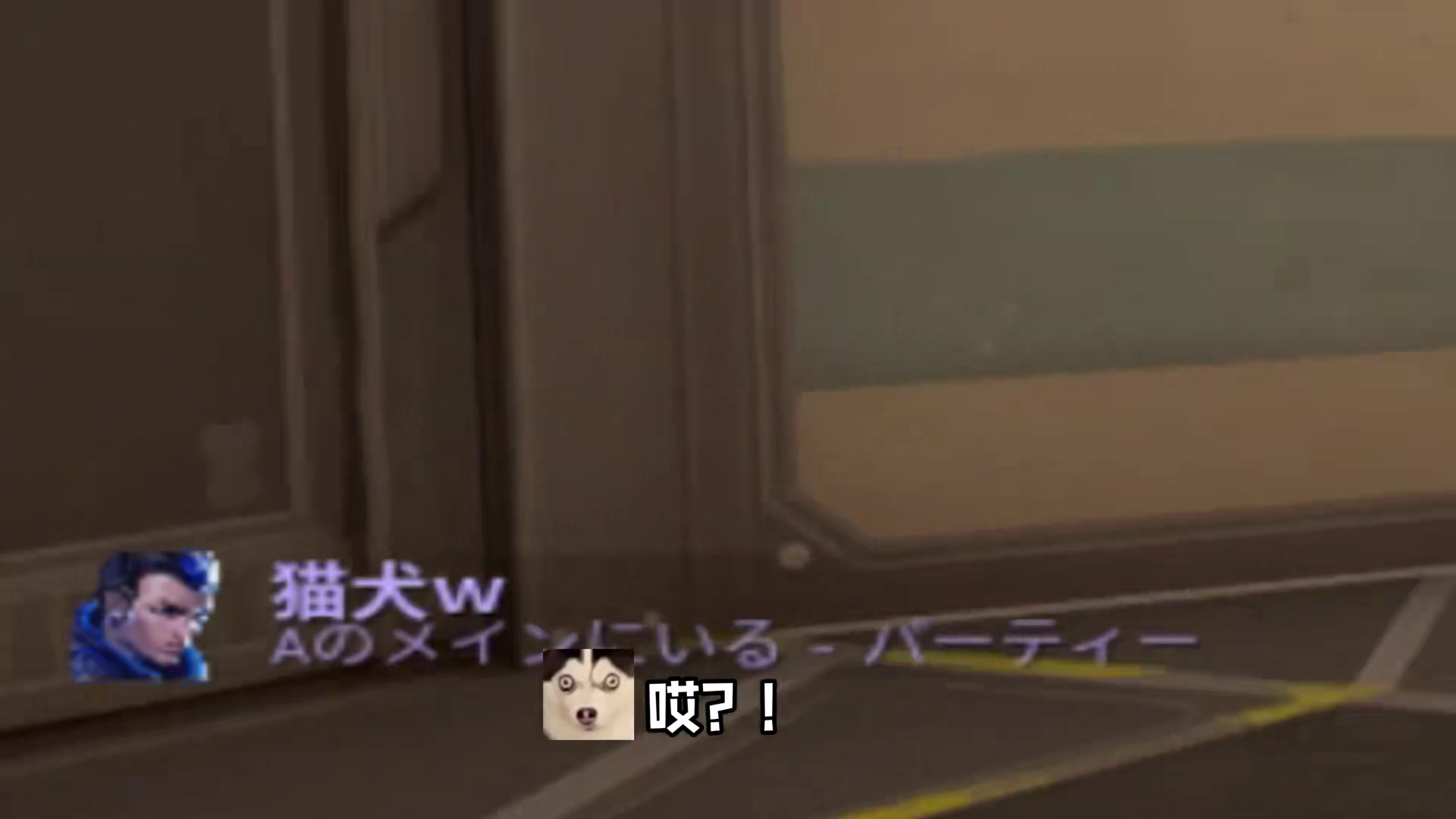 这个可爱不姐妹们