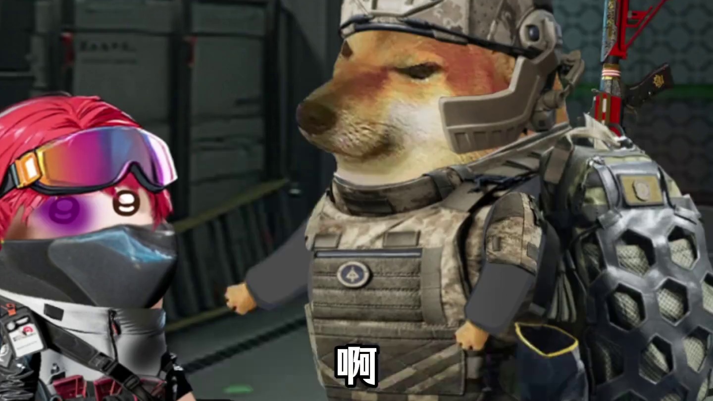 疑似打手吵架视频流出