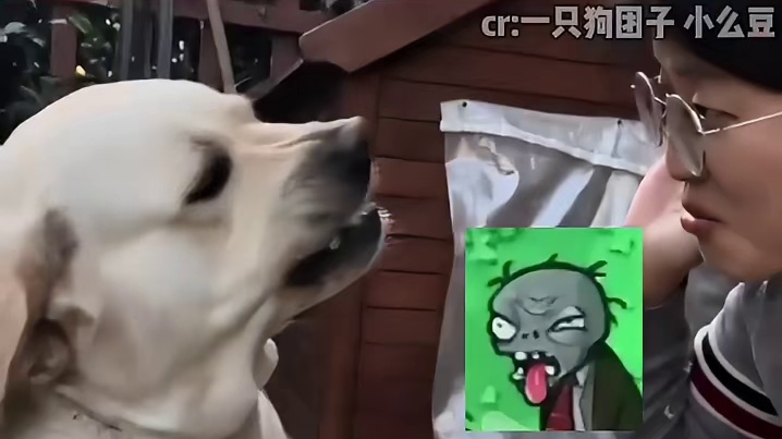 是吐司还是砖头啊