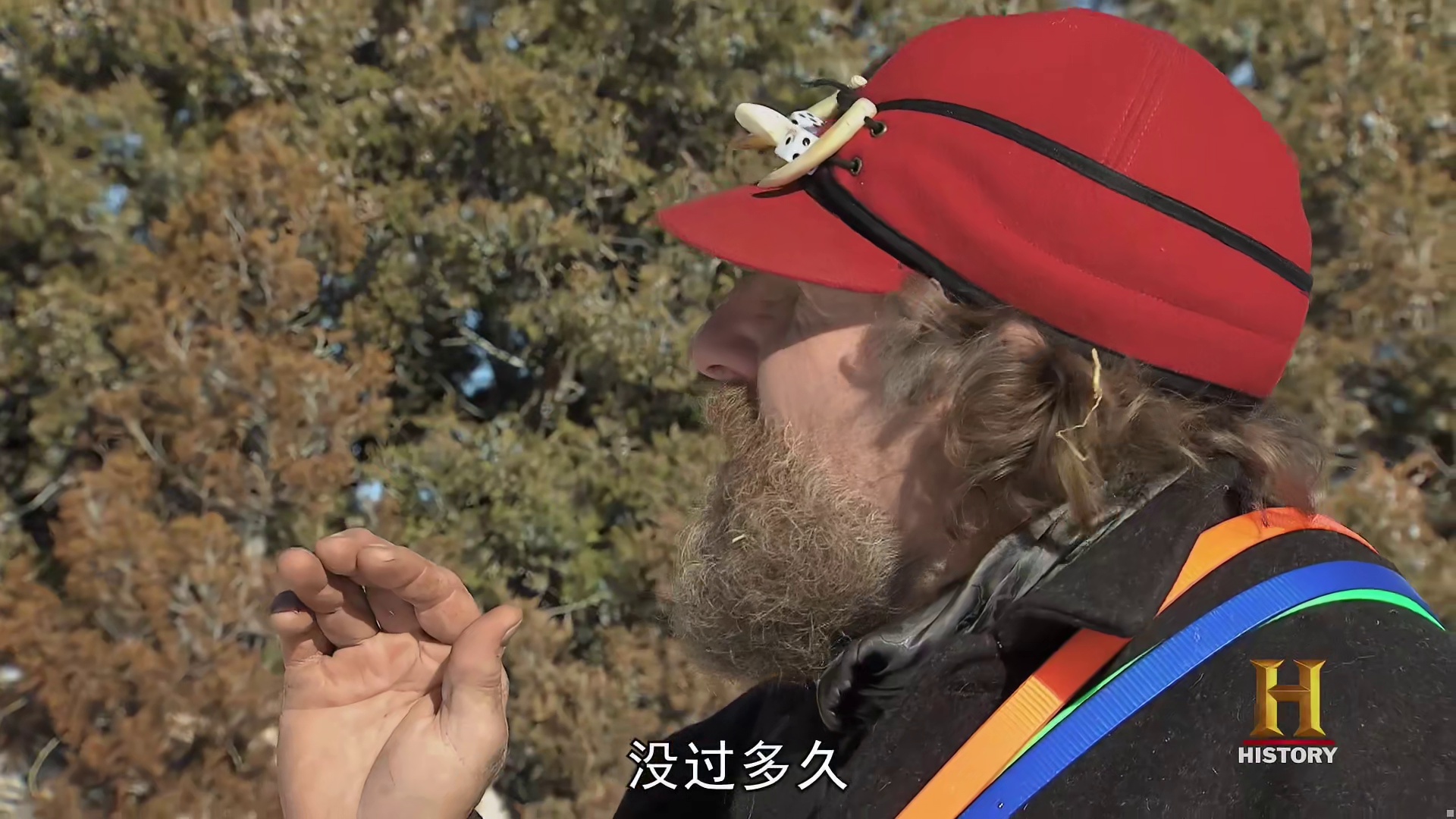 山地硬汉：狼群的危害，设置陷阱 ，老狗去世