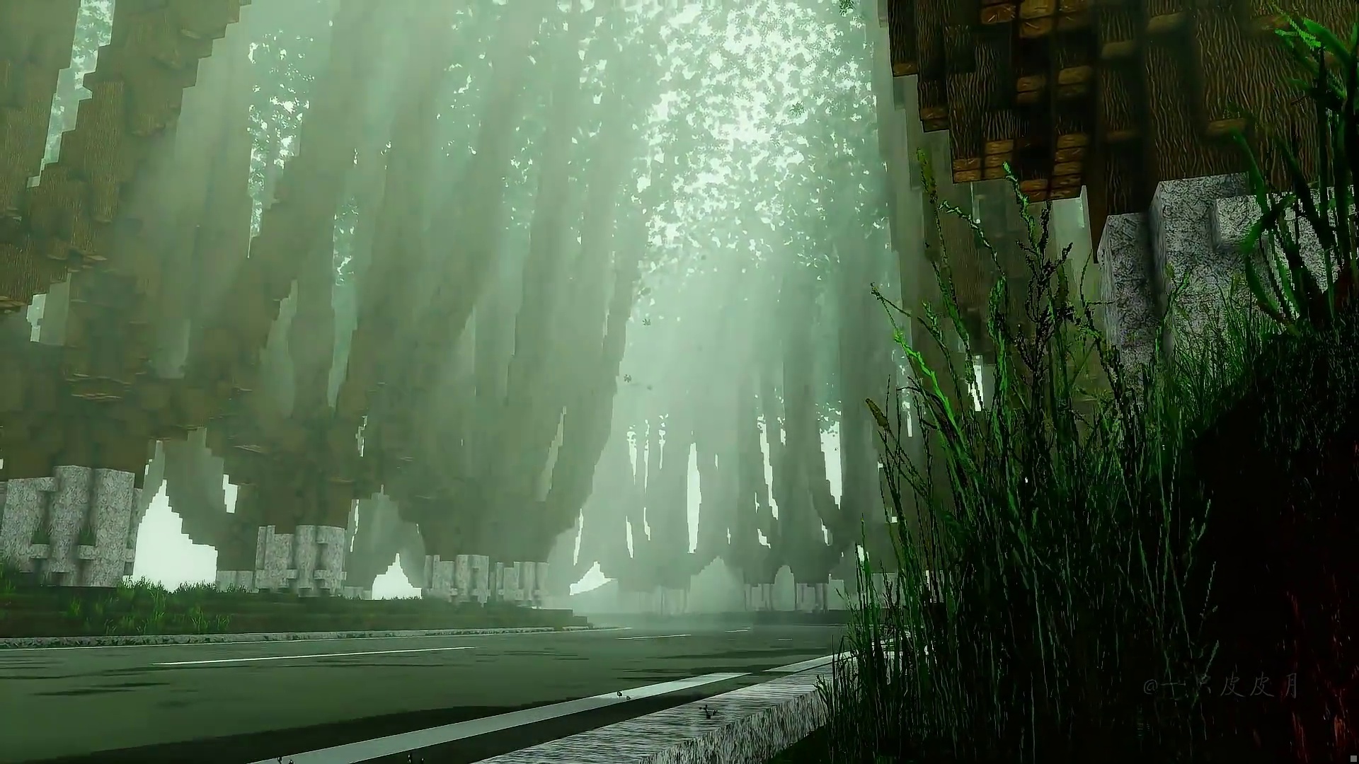 “一句梧桐美，种满南京城。”