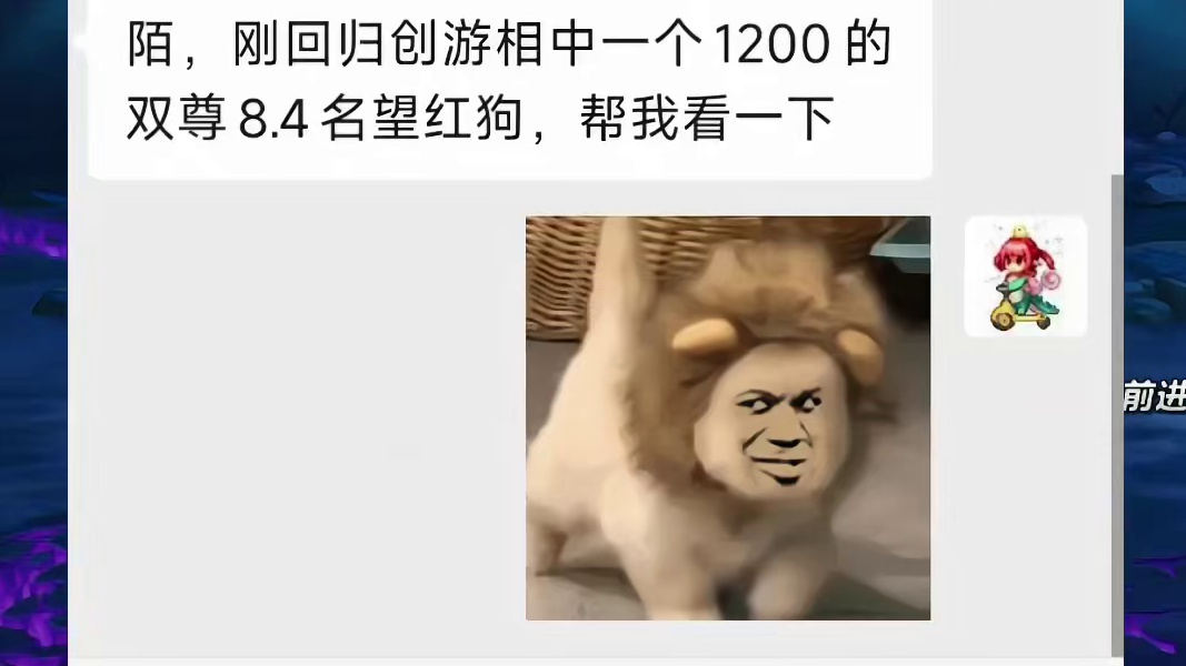 DNF版本末期全身12的双尊角色含金量如何？