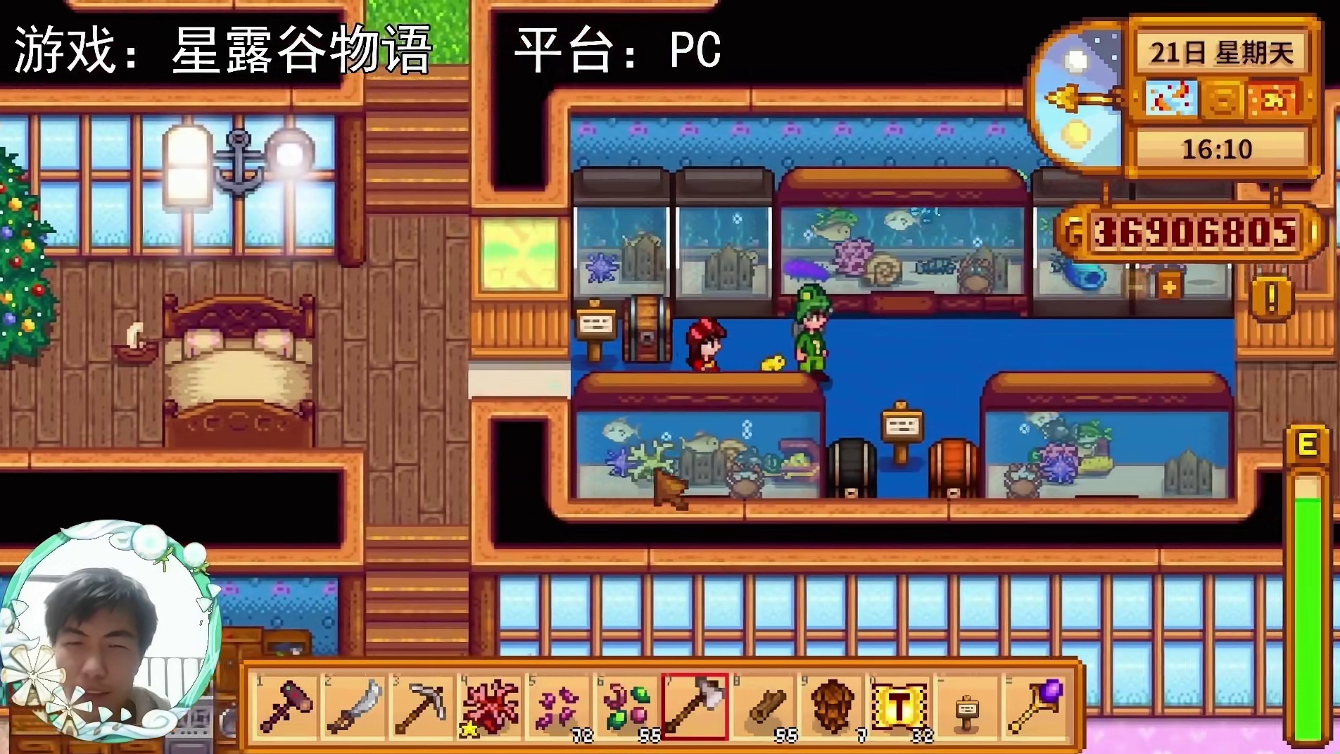 【星露谷物语】会飞的青蛙与婚纱照！