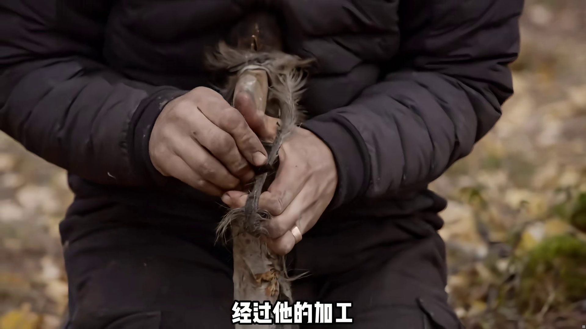 荒野独居的全新玩法开局就送一头麝牛，大佬竟敢徒手跟黑熊五五开 (3)