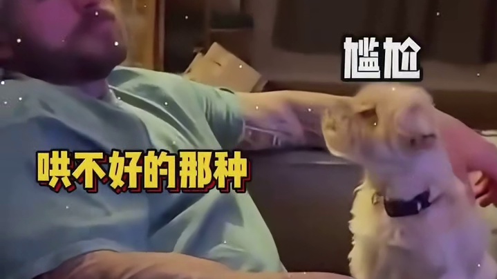 狗狗：差不多得了适当生生气