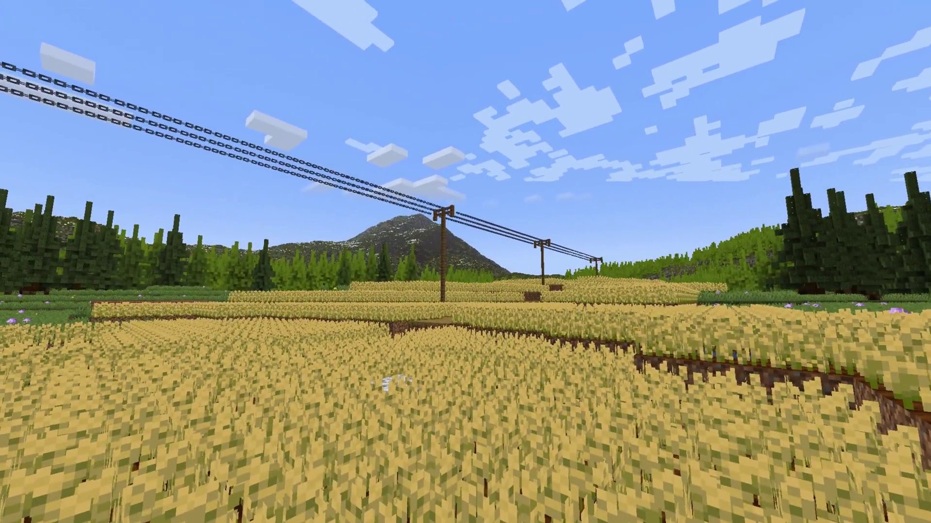 已经开始期待夏天了