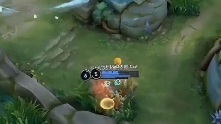 有被帅到，cat预判闪拉干将