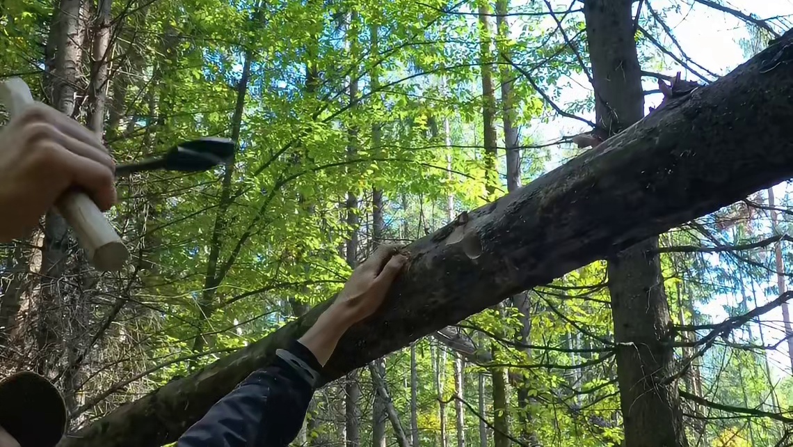 第1集：男人仅仅是看了一眼这棵倒下的枯木，竟然将其建造成舒适的小屋