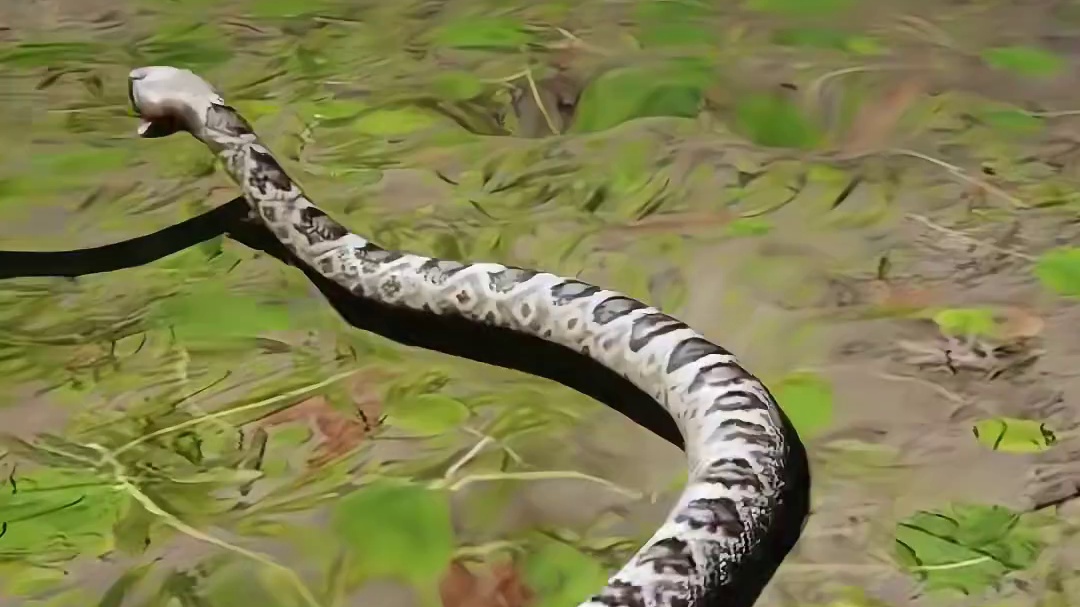 游戏画面切勿当真