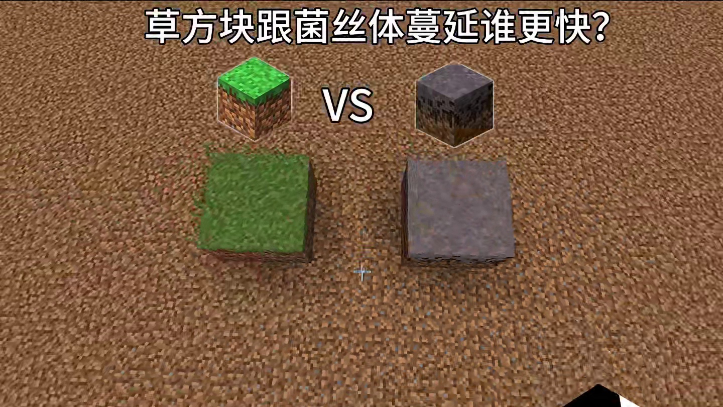 草方块跟菌丝体蔓延谁更快！