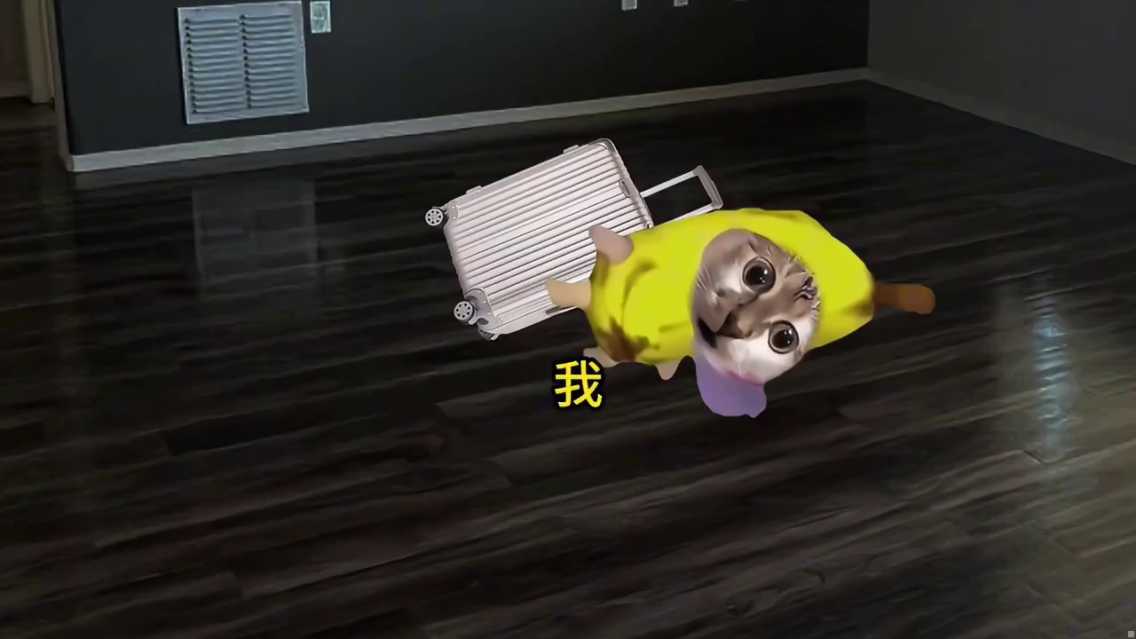 半夜遇到黑哥们  ​