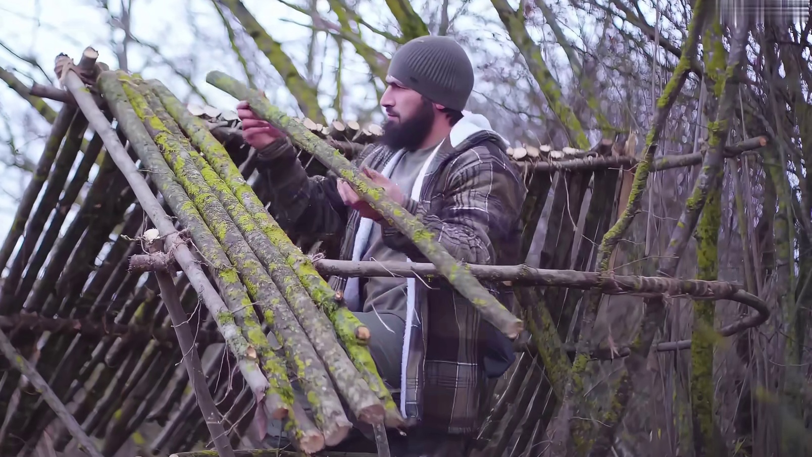 “在扭曲丛林的灌木上建造一间庇护所” (2)