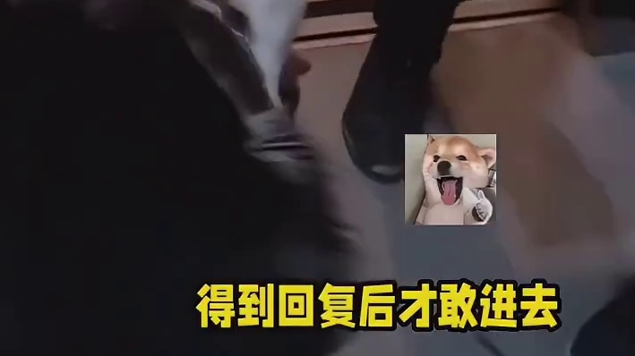 大哥的服从性挺好啊